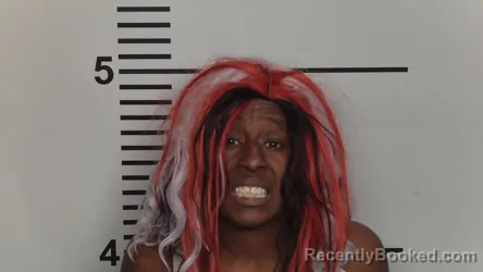 Mugshot of AMANI LEE