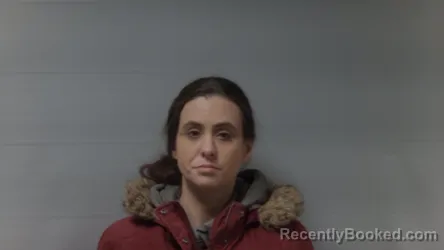 Mugshot of MICHELLE M LEWIS