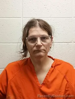 Mugshot of CHAD A. CHAPMAN