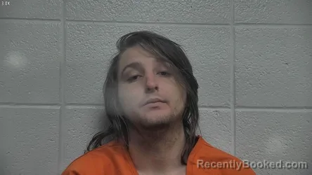 Mugshot of DANNY HAMMONS