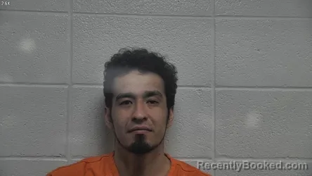 Mugshot of JULIO C VEGA