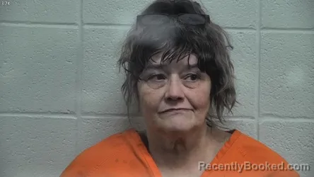 Mugshot of MICHELLE LEE SHOCKEY