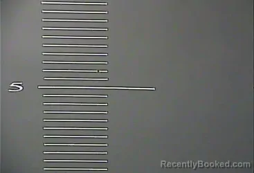 Mugshot of JUDY FAYE PAULEY