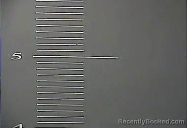 Mugshot of JAMIE LEE ADAMS