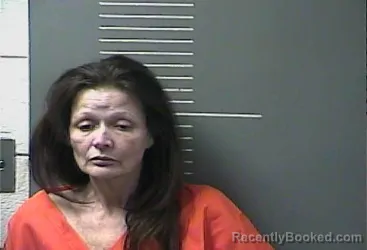 Mugshot of VICKI LYNN BOYCE