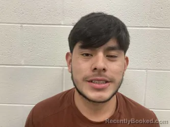 Mugshot of NELSON YAIY AMBROCIO CHUN