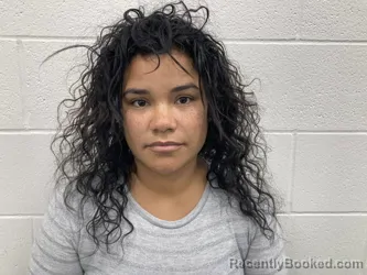 Mugshot of JENNYLIS MARIE ROMAN