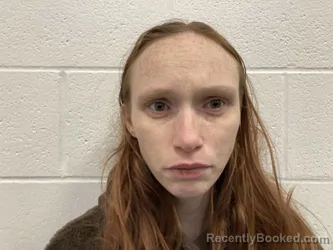 Mugshot of BROOKE ANN SMITH