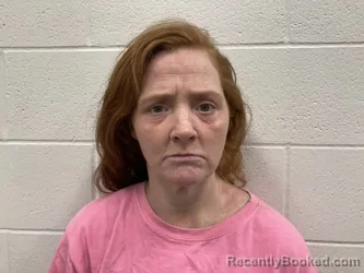 Mugshot of AMY SHAY ABELL