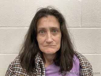 Mugshot of JAMIE NICOLE ANNESS