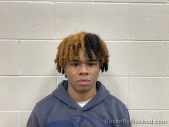 Mugshot of JYONN LEE SHAUN HART