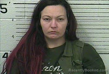 Mugshot of TIFFANY ANN BLEVINS