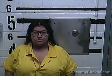 Mugshot of EMILY HOPE ZARAGOZA