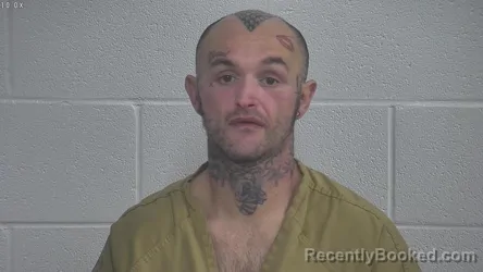 Mugshot of BRANDON ASKINS
