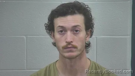 Mugshot of DALTON MULLINS