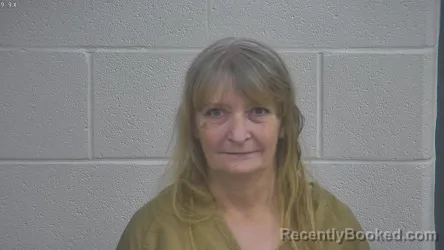 Mugshot of LISA E ALLEN