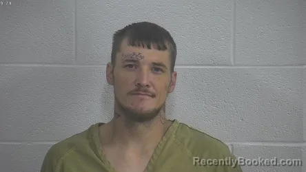 Mugshot of TIMOTHY COLLINS