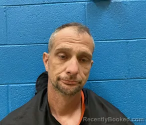 Mugshot of RONALD WAYNE BOLES