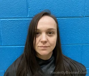 Mugshot of JAMIE DENISE RIDDLE