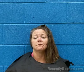 Mugshot of JENNIFER ELAINE HINSON