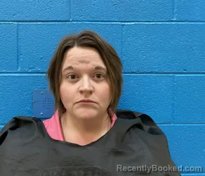 Mugshot of NIKKI LEIGH BRIGGS
