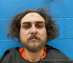 Mugshot of CHRISTIAN DONAVON WOODWARD