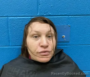 Mugshot of VICTORIA R KORDA