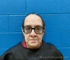 Booking photo from McDowell County, North Carolina