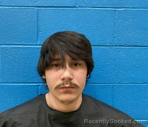 Mugshot of ANDREW MICHALE FARMER