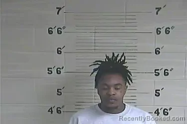 Booking photo from Lee County, Kentucky