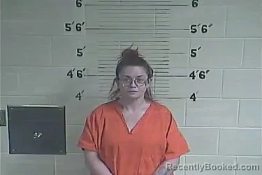 Mugshot of Ashley L. Johnson