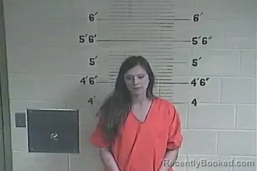 Mugshot of Harley S. Shuler