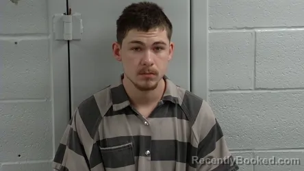 Mugshot of ETHAN LONG