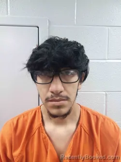 Mugshot of FRANCISCO TORRES