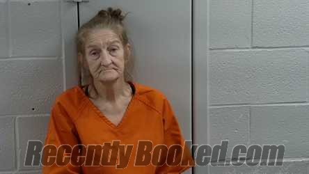 Booking photo from Logan County, Kentucky