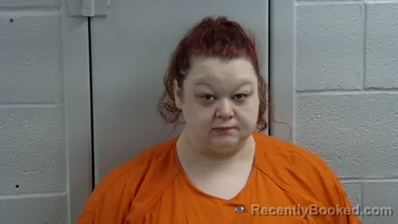 Mugshot of CAITLIN JOHNSON