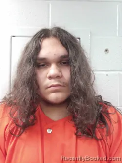 Mugshot of MARIO MCWHIRTER