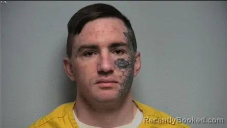 Mugshot of AARON B WALKER