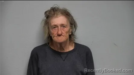 Mugshot of LYNDA G SUMMERFORD