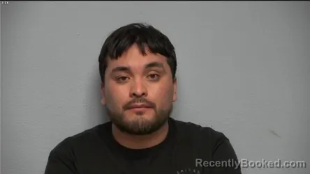 Mugshot of RICARDO JESUS VARGAS