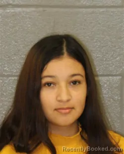 Booking photo from Mecklenburg County, North Carolina