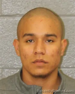 Mugshot of LUIS MARIO CABRERA-OLIVO
