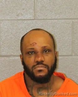 Mugshot of HASIELM SHANNON