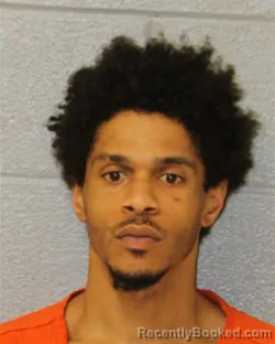 Mugshot of JAMIE LEE JAMES