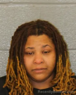 Mugshot of SANTAVIA SHANICE STINSON