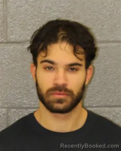 Mugshot of DIONEZUS COLLADO