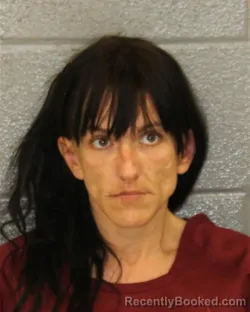 Mugshot of KARINA S BARRATT