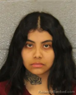 Mugshot of GERALDYN DALLANE MEZA CASTRO
