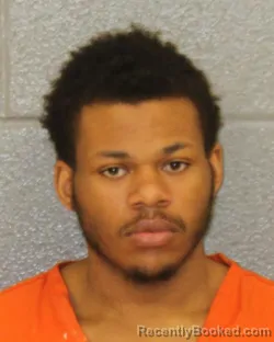 Mugshot of LARRY MICHAEL SPRINGS