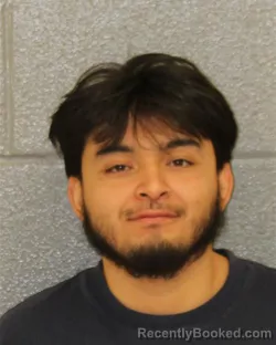 Mugshot of ALAN DIAS